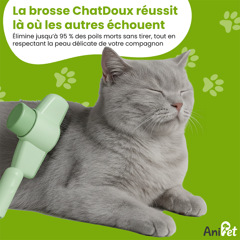 ChatDoux™