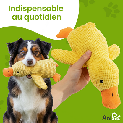 Canard anti stress