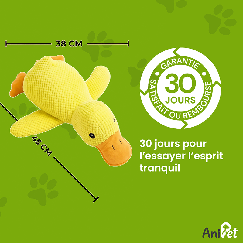 Canard anti stress