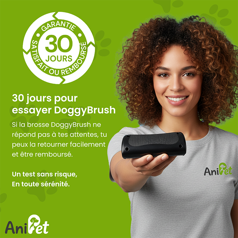 DoggyBrush™